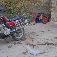 فيوم • موديل ١١ • اوراق كامله