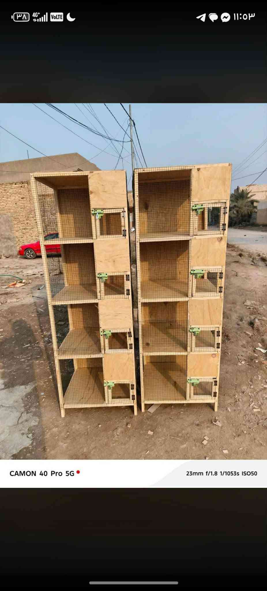 أقفاص مال طيور • كبير وسط صغير • كمية محدودة