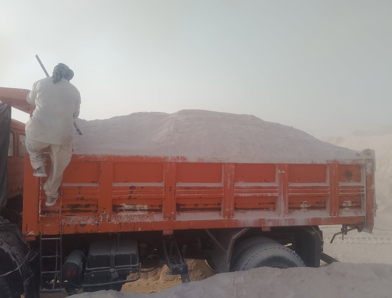 جض عل فحض كافه مناطق كربلاء تك 525السعر %***********%***********
