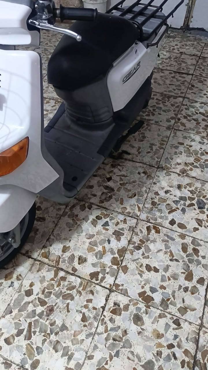 بيكم • نضيفه • سلف وهندر