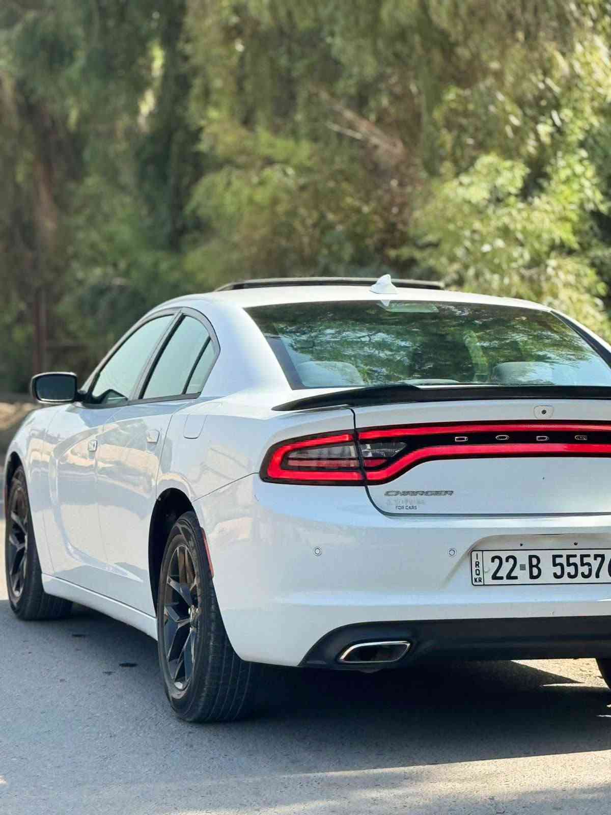تشارجر SXT • ٢٠١٨ • رقم أربيل