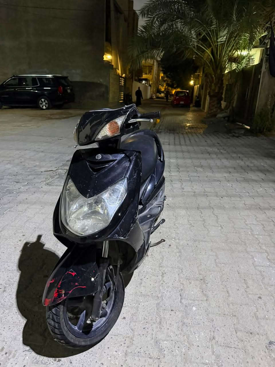 سكنس فحل • نضيفه • مراوس