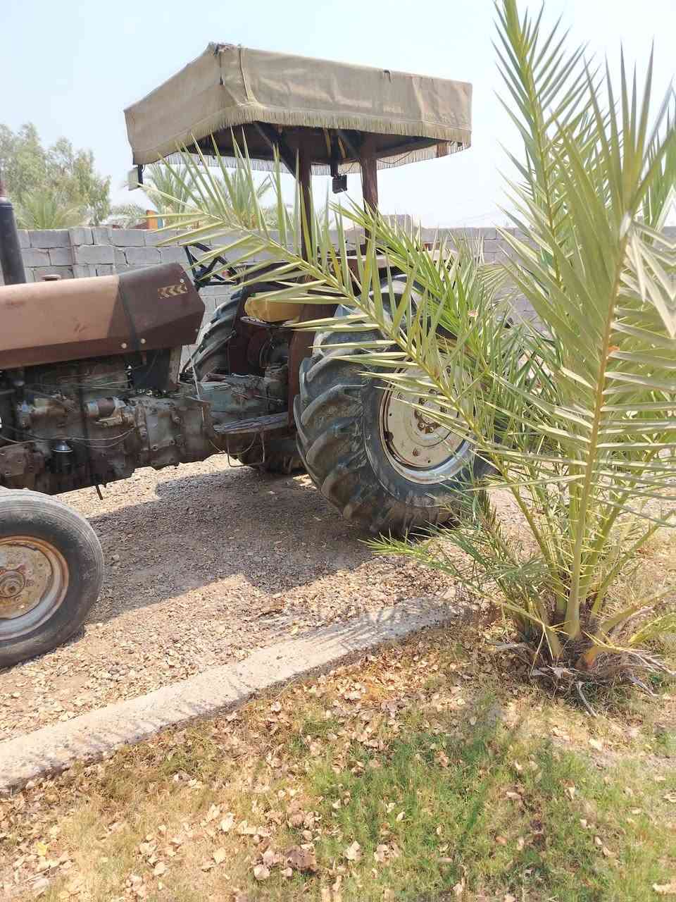 مكينة فوركسن • موديل ٨١ • عندها كاز