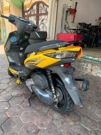 سكنس • كوري • كفاله عامه