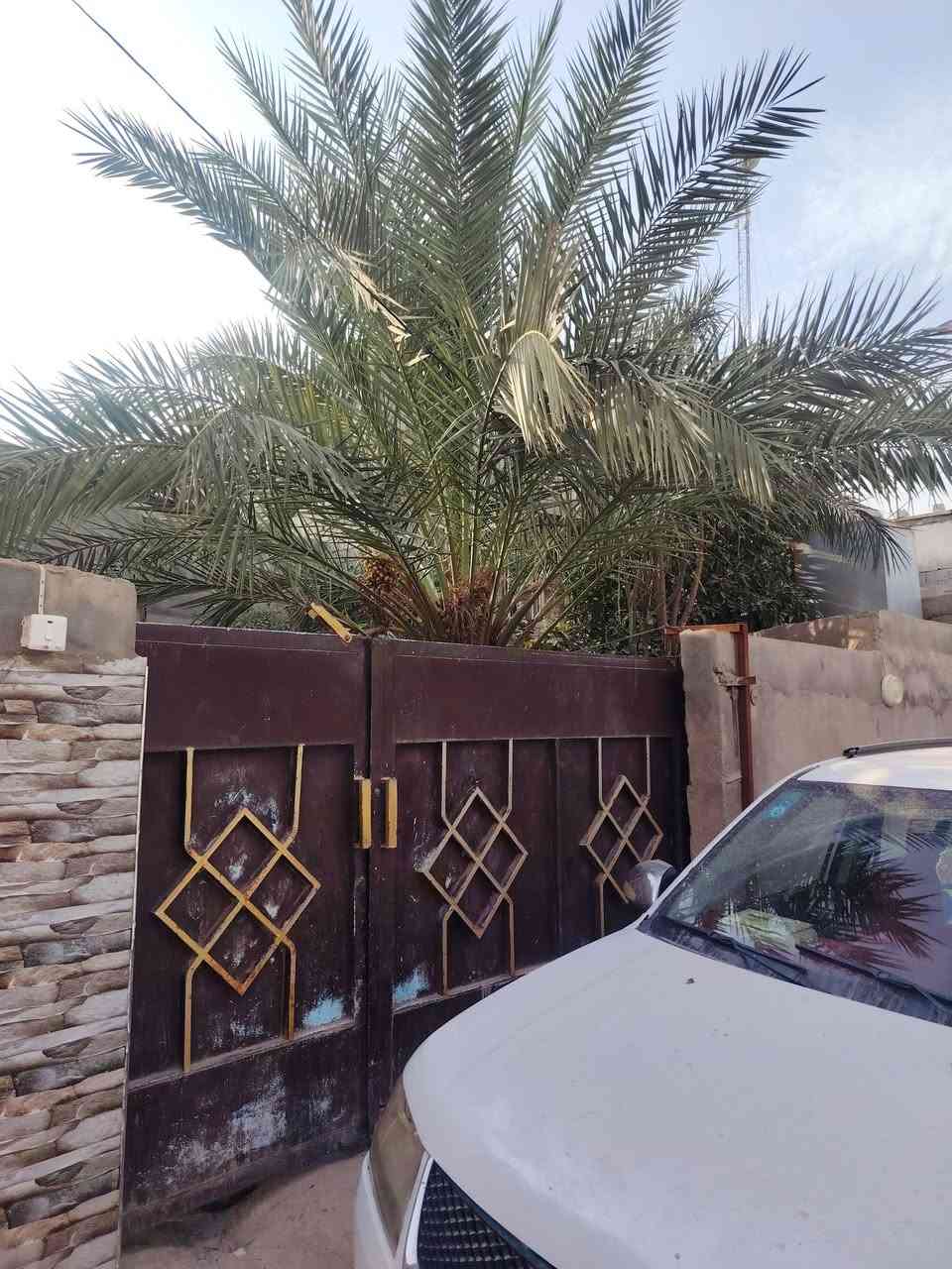 منطقة النور • ٢٠٠م • طابو زراعي