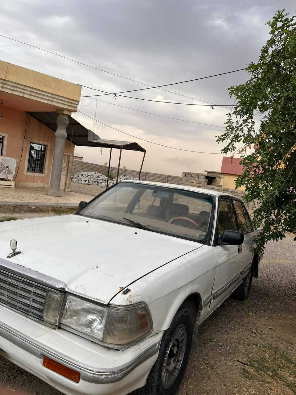 يسار اصلي • ١٩٩١ • مكفوله
