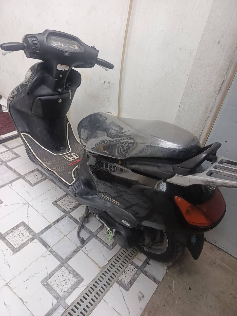 سبيسي • ياباني