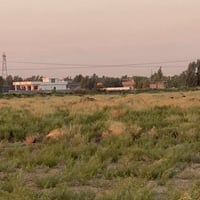 المحمودية • دونم مع منزل • ٢٥٠٠م