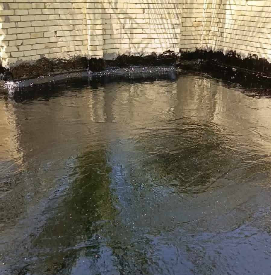 تعلن سكلة  المنكوشي لبيع الجير في كربلاء في اسعار مناسبه الاستفسار الارقام الهاتفيه ***********/📞☎️
