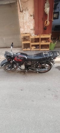 بوكسر جبلي • اوراق اصولي • عوجه