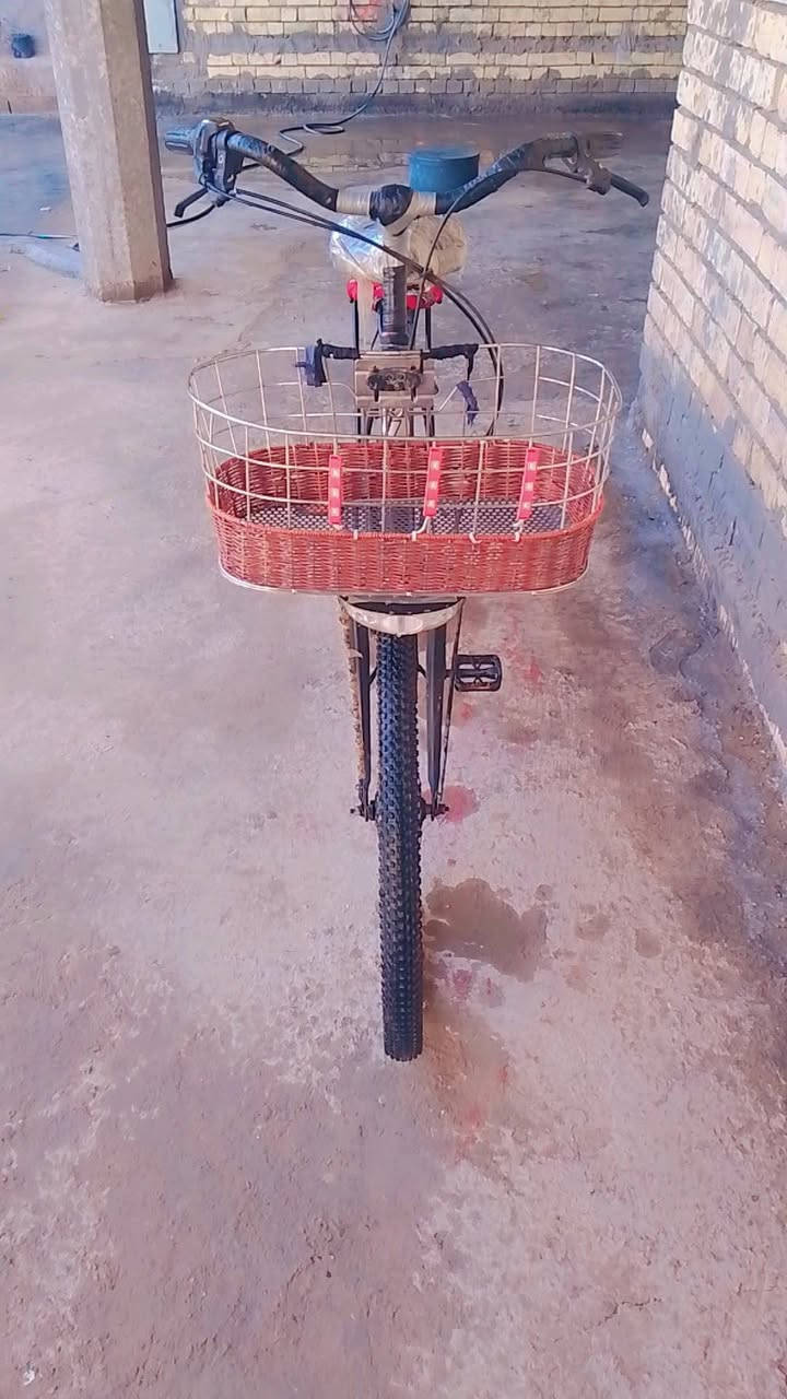 بايسكل • ياباني • حجم ٢٧
