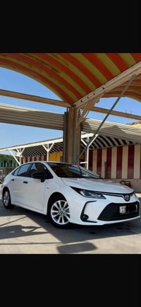 كورلا 2024    خليجي هايبرد    علامة زرقاء المرغوبة  سيارة كفاله عامه  ...