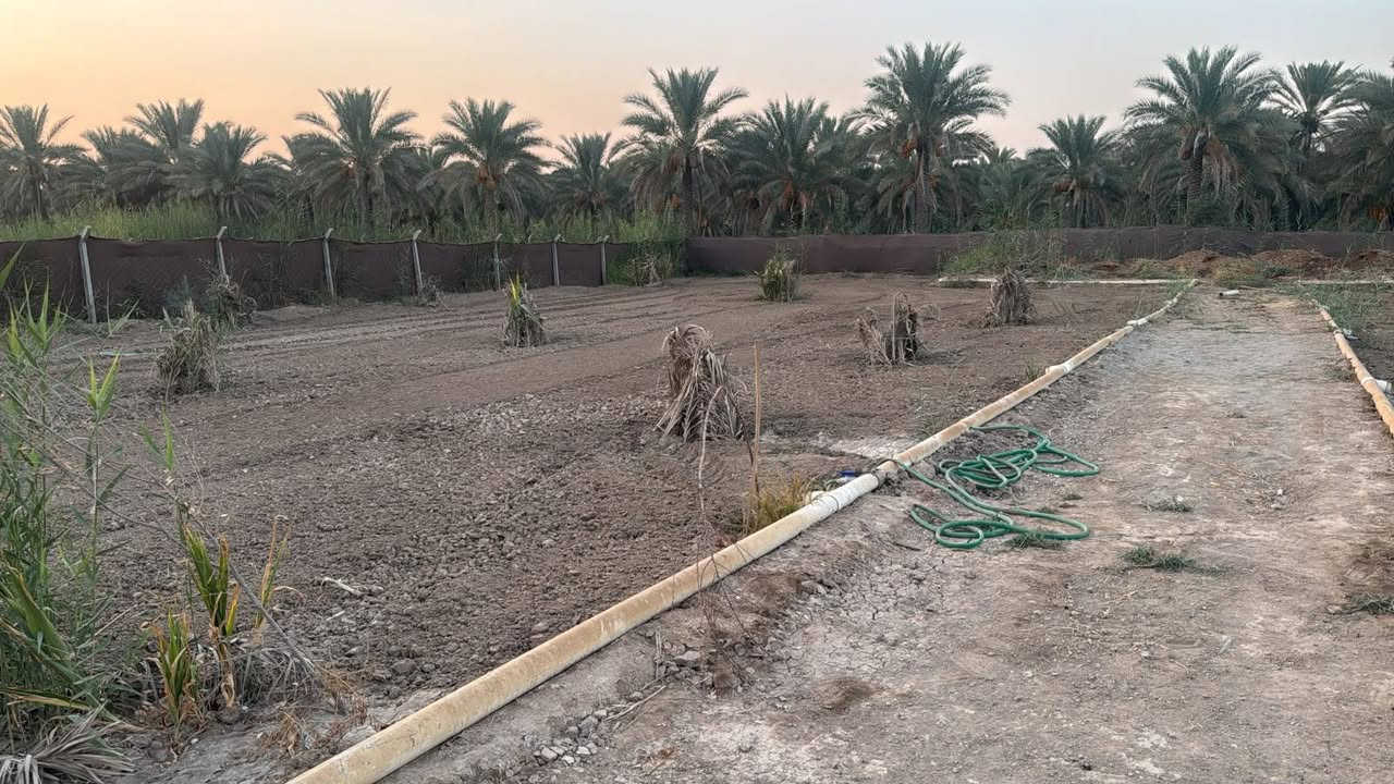 📌يوجد 2000م  للبيع بسعر 65   

📍 ارض  (2000م) للبيع في كربلاء منطقه نهر السلام (طريق طويريج كربلاء)
✅ منطقه سكنيه مدارس قريبه 
✅ يصلح سكن او دار استراحه او مزرعه 

✅ مغروسه نخيل برحي نسيجي و عادي

✅ منضومه سقي كامله للارض من النهر و من البير 
 
✅سند طابو زراعي 25 تحويل مباشر  بأسم المشتري 

✅( تبعد عن  ألامامين عليهم السلام 7 كيلو )

✅✅خدمات كامله تبليط /ماء /كهرباء  /

 ❇ السعر 65مليون مع المجال القليل
---------------------    
للاستفسار ....

***********

***********
