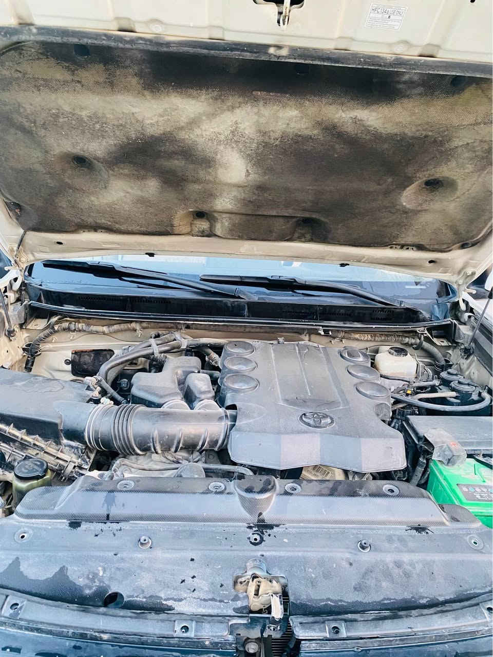برادو TX • ٢٠١١ • رقم بصرة