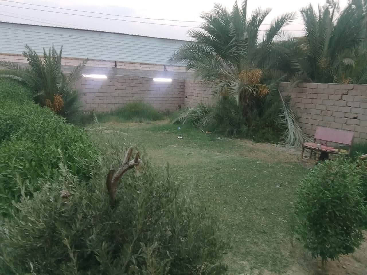 🧿 للبيع ارض زراعيه مميزة 🧿
 الموقع: صوب بني ركاب – على طريق الشركات، الشارع الرئيسي قرب بيت ابو مجاهد
🌴 المساحة الكلية: 2000 متر من ضمنها بيت بمساحة 325 متر 🌴 مزرعة خلف البيت تحتوي على 45 نخلة مثمرة من صنف جيد 🌿 حديقة أمامية 🧿 بالإضافة إلى قطعتين أرض، مساحة كل قطعة 200 متر
🏠 مواصفات البيت: 🧿 بناء طابوق درجة أولى
▪️ سقف صب كونكريت مسلح
▪️ 3 غرف نوم، مساحة كل غرفة 6×4
▪️ صالة 14×4
▪️ هول 7×4
▪️ استقبال 10×4.5
▪️ صالة
▪️ مطبخ 6×4
▪️ صحيات داخلية وخارجية
▪️ كراج كبير
⭐ موقع مميز على الشارع الرئيسي ومناسب للسكن والاستثمار والزراعة🧿
📞 للاستفسار( مراجعة مكتب عقارات الكرار – صوب بني ركاب) *********** 
*********** يتوفر وتساب
