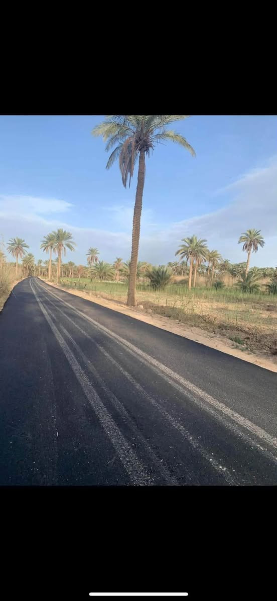 طابو زراعي • سند ٢٥ • كوفة شارع المعمل