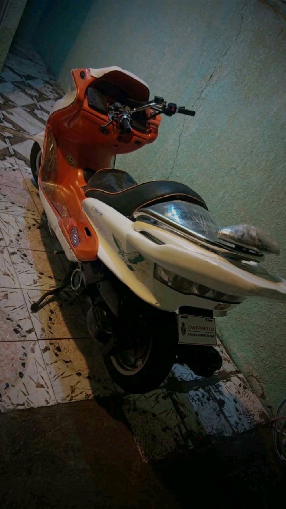 ماجسته • شراي