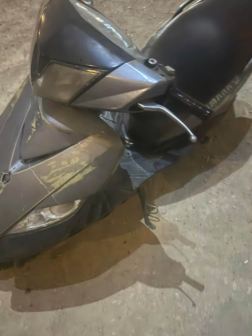 ثعلب • مبدل زنجيل • اوراقه كامله