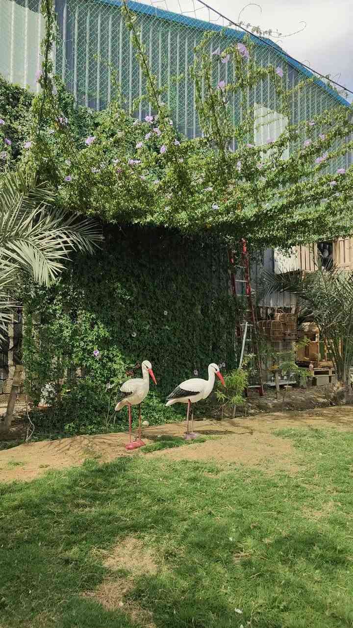 السلام عليكم بيت مؤثث ومزرعه مستقلات  للبيع مساحه 500  بالاضافة الى جملونات مساحه 600 متر تقريبا ومكتب المساحه الكلية للموقع 2300 متر يصلح مكان سكن واستثماري موقع المكان طريق الواحة خلف شركة اصباغ الماس سبب البيع ظروف مالية والله يكفيكم الشر ***********
