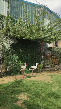 بيت مؤثث • مزرعة مستقلات • ٢٣٠٠م طريق الواحة