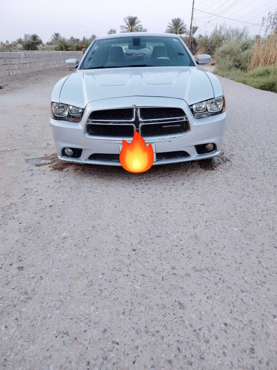 لا توجد تفاصيل
