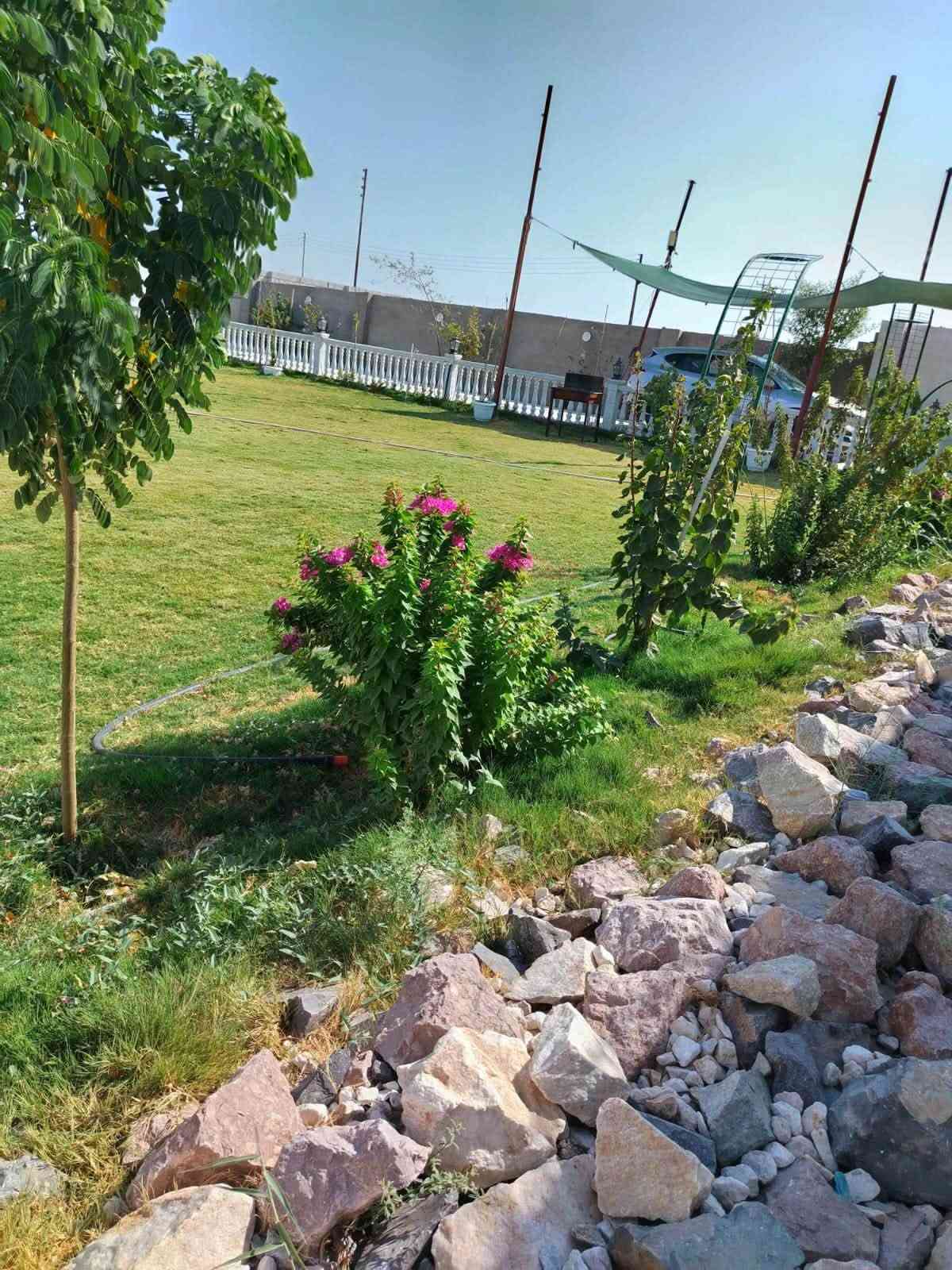 مزرعه الاميره دره ترحب بكم يتوفر حجوزات من الاثنين للسبت صباحي ومسائي للحجز***********

نص مكتوب في الصور:
- أجواء طبيعية ووقت أجمل مع العائلة مزرعة الاميره دره للحجز يتوفر حجز يوم الاثنين ٢٨/٩ صباحي ومسائي يوم الثلاثاء ٢٩/٩ صباحي ومسائي يوم الخميس ١٠/١ صباحي ومسائي يوم الجمعه ١٠/٢ صباحي ومسائي يوم السبت ١٠/٣ صباحي ومسائي الشفت المسائي 200 ألف من ساعه 8 ليلاً لغاية 7 صباحاً الشفت الصباحي 175 ألف من ساعه 9 صباحاً لغاية 6 العصر للحجز *********** العنوان الغالبية مجاور السيطره على شارع العام نستقبلكم بكل حب