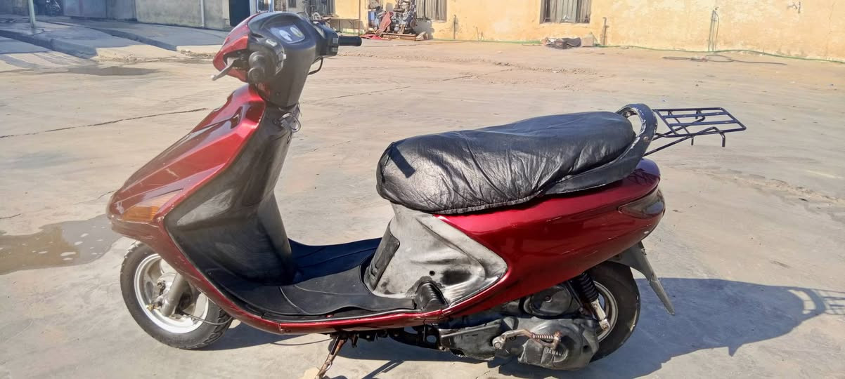 فحل للبيع
جلبيه  
550 وبيه مجال حك الجيه
للتواصل *********** 
غير متواجد على فيس
