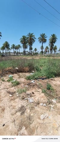 بستان الكبيسي • ٢٥٠م • ملك صرف زراعي