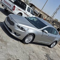 كادنزا خليجي • مصبوغة • كفالة الشركة