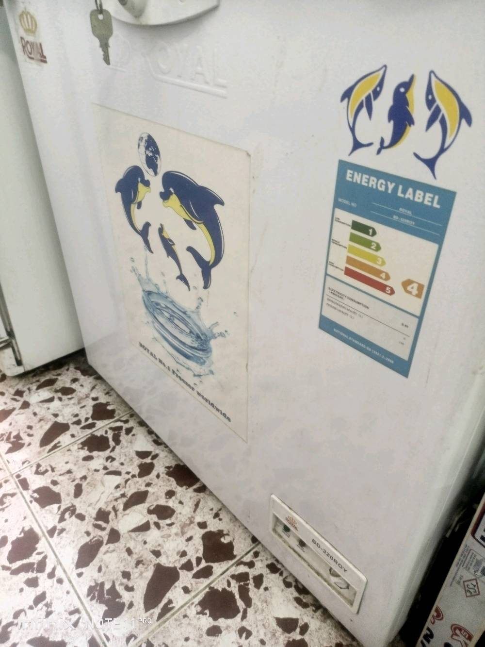 مجمدة • جديدة • غير مستعملة