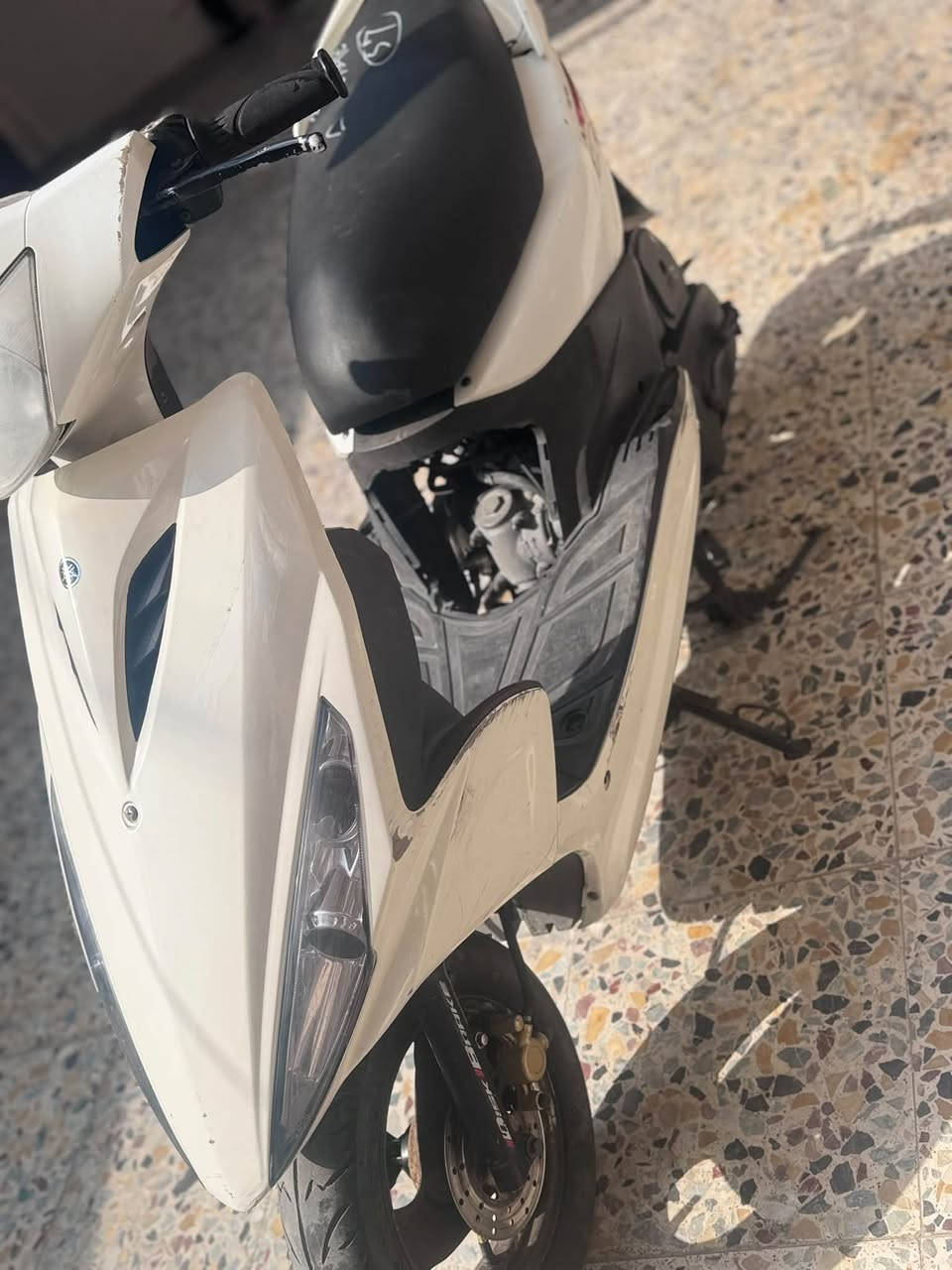 ماكس مضلع • جديدة • بلادية