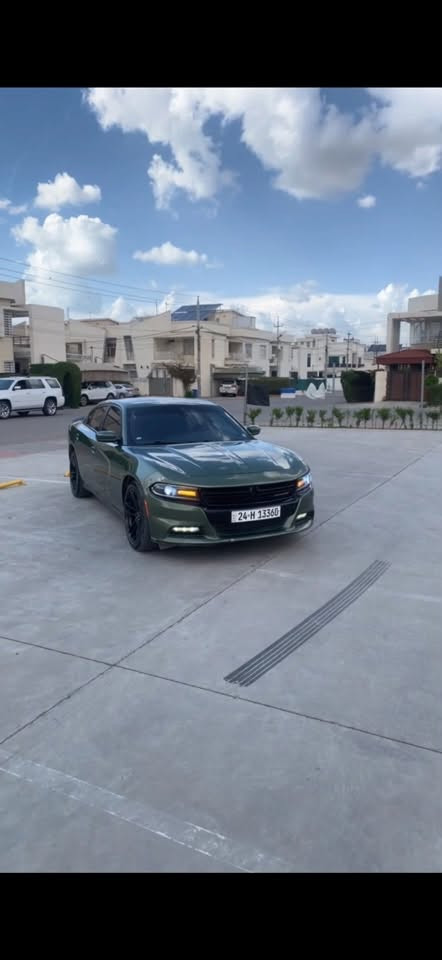 تشارجر ٢٠٢٠ • أخضر زيتي • ضرر خلفي