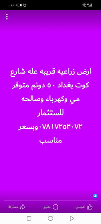 لا توجد تفاصيل