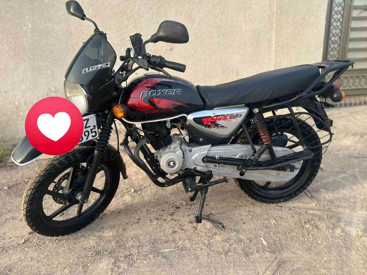 بوكسر جبلي • موديل 23 • رقم وسنويه