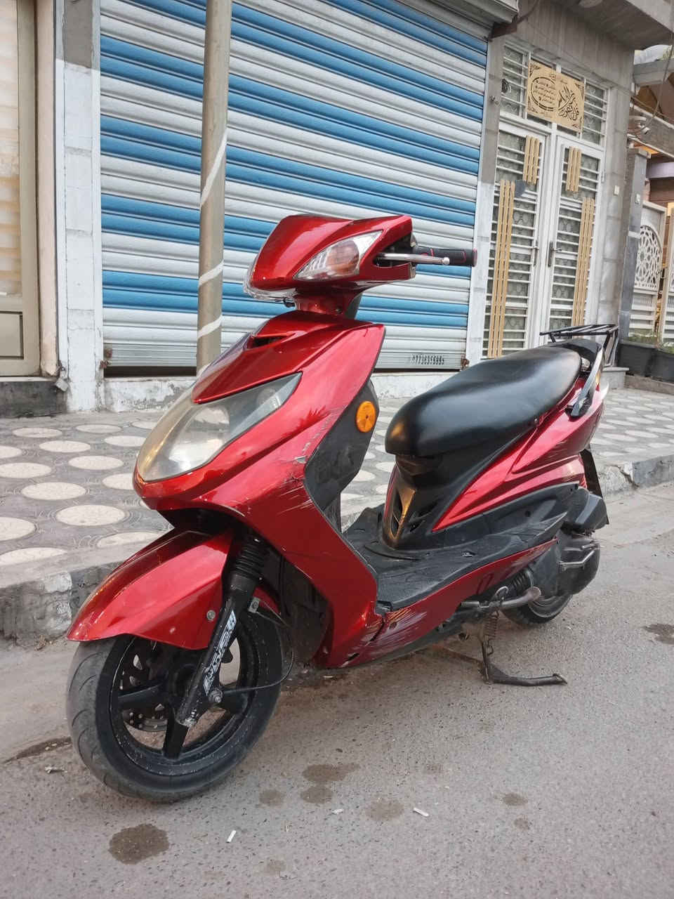 سكنس فحل • نوزل • متعوب عليها