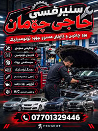 ميكانيك • دياغنوستيك • بيجو