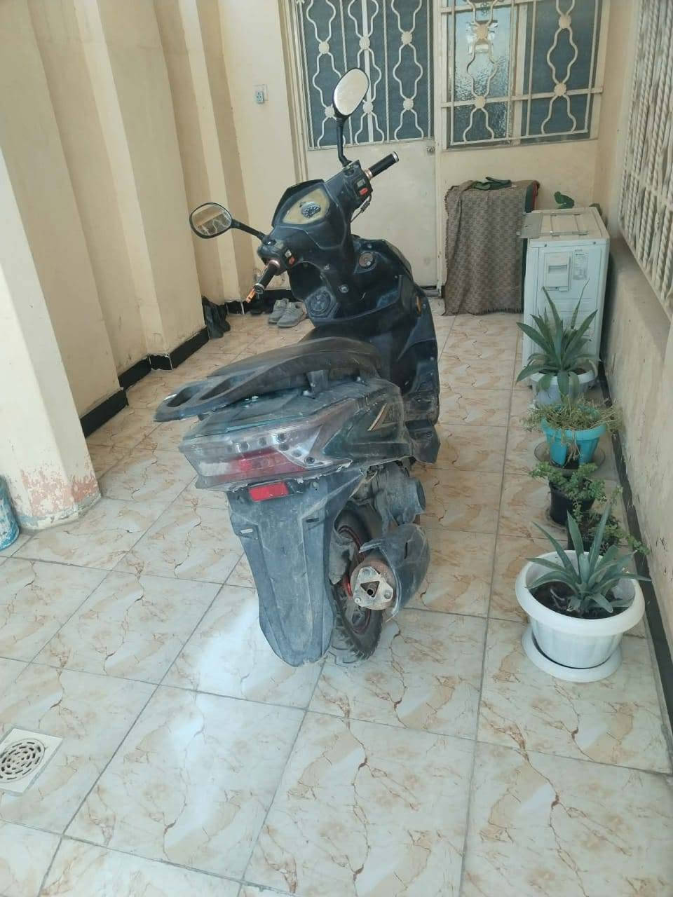 سلام عليكم دراجه سكنس  موديل 23 مجفته مره وحده الدراجه نضيفه كلش نكره سلف كهربائيات فول  *********** هاذه الرقم
يراده ترتيب كفرات فقط  لايت بك لايت اشاير عالي ناصي كله شغال السعر 325 وبيه مجال بسيط عنوان بابل القاسم
