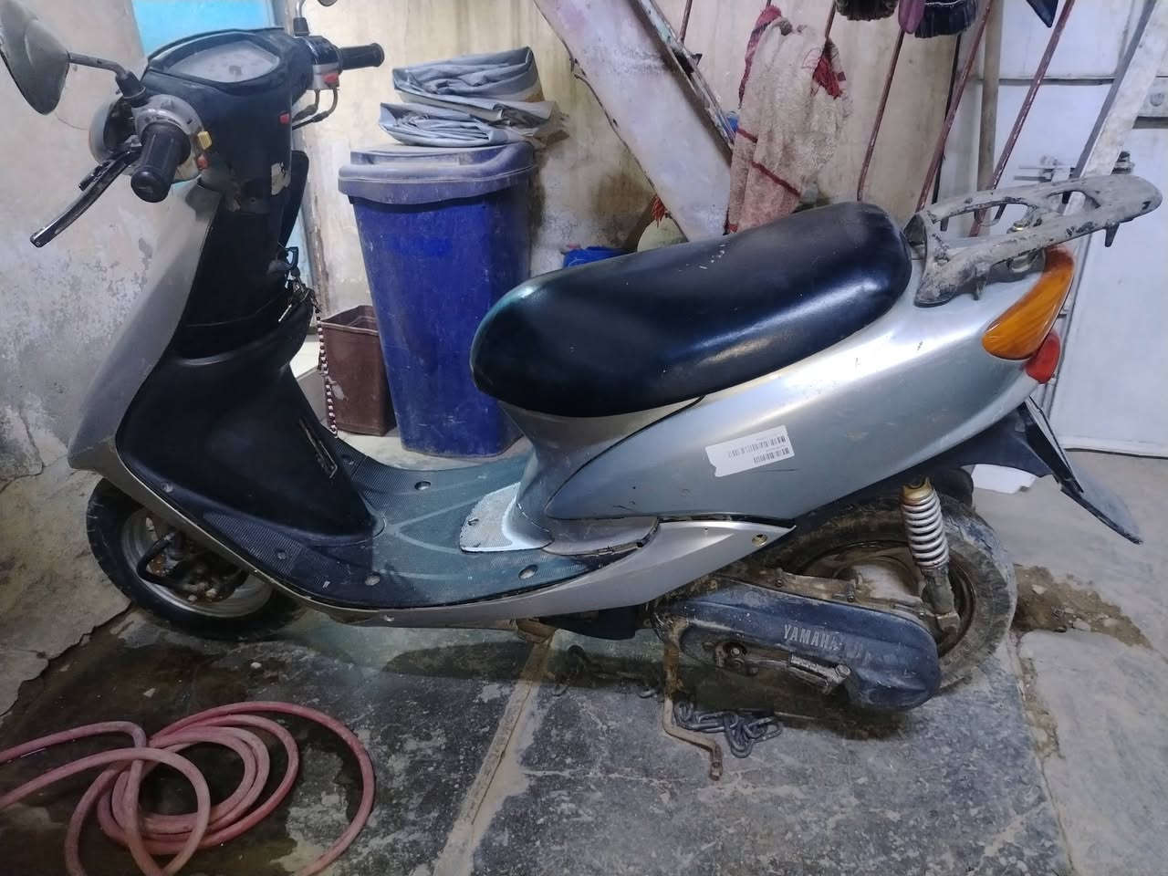 عصفورية • نضيفه • الحبيبيه