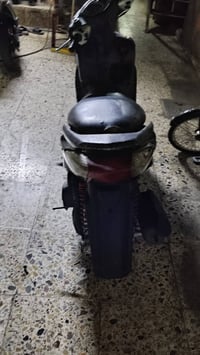 سكنس نثيه • كماله • قطع ضفيره