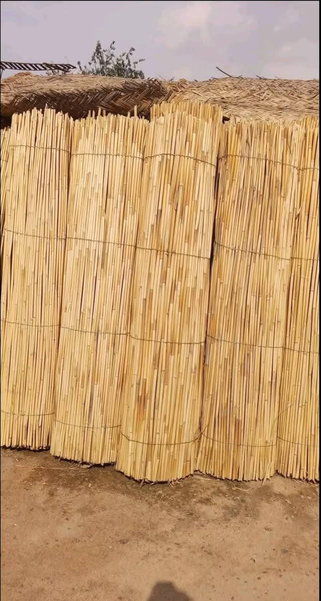 سياج قصب • ارتفاع ٢م • عرض ٣م