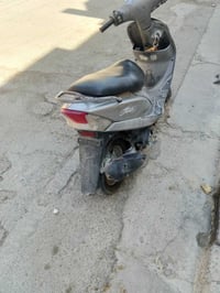 ماكس منغولي • نظيفه • ناقصة دبلات