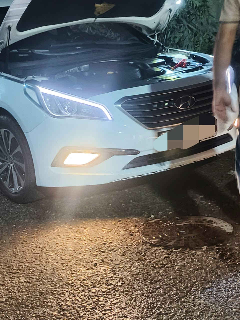 سوناته • ٢٠١٧ • ضايعه