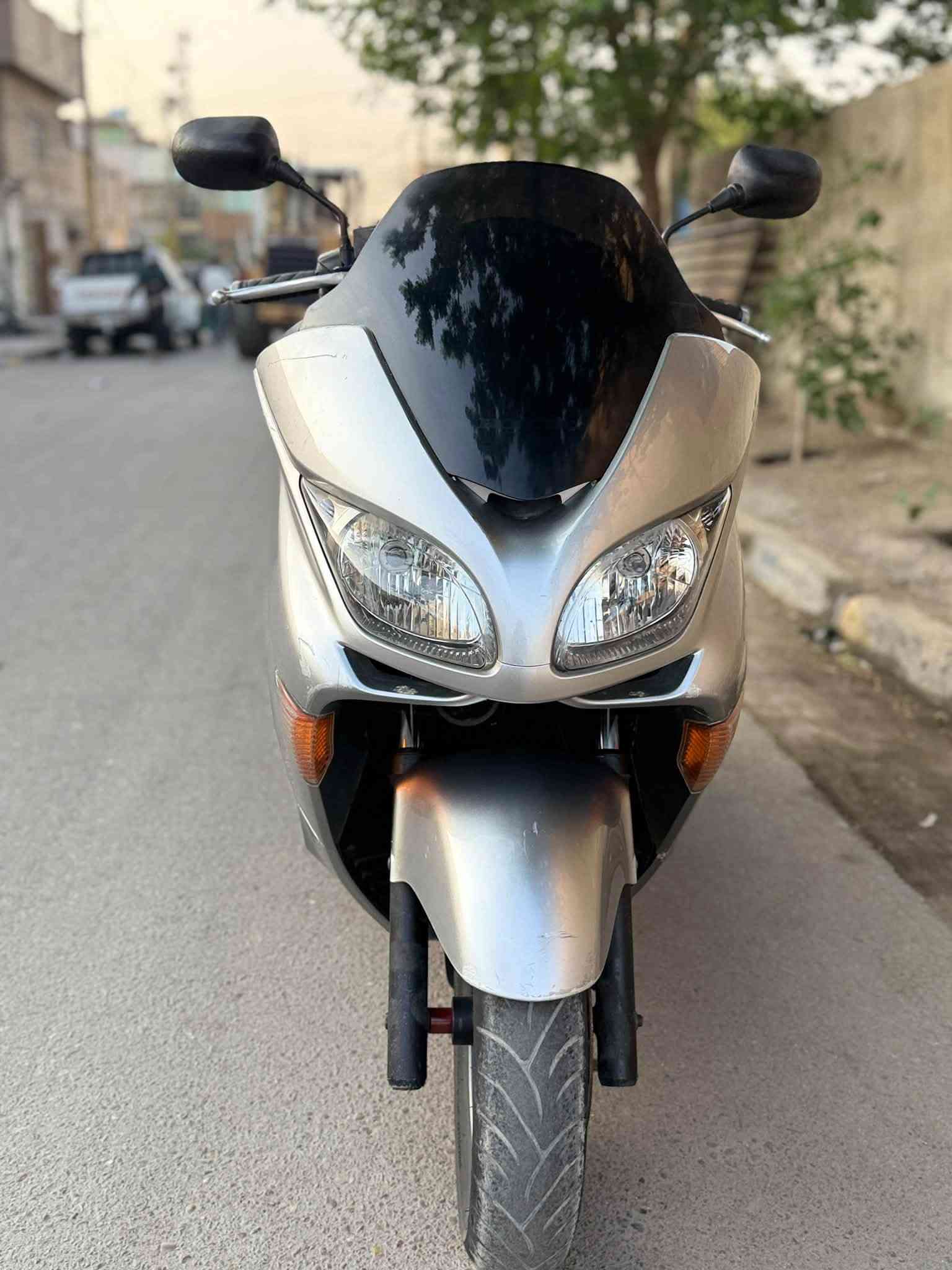 فورزة MF • ٠.٩ • أوراق