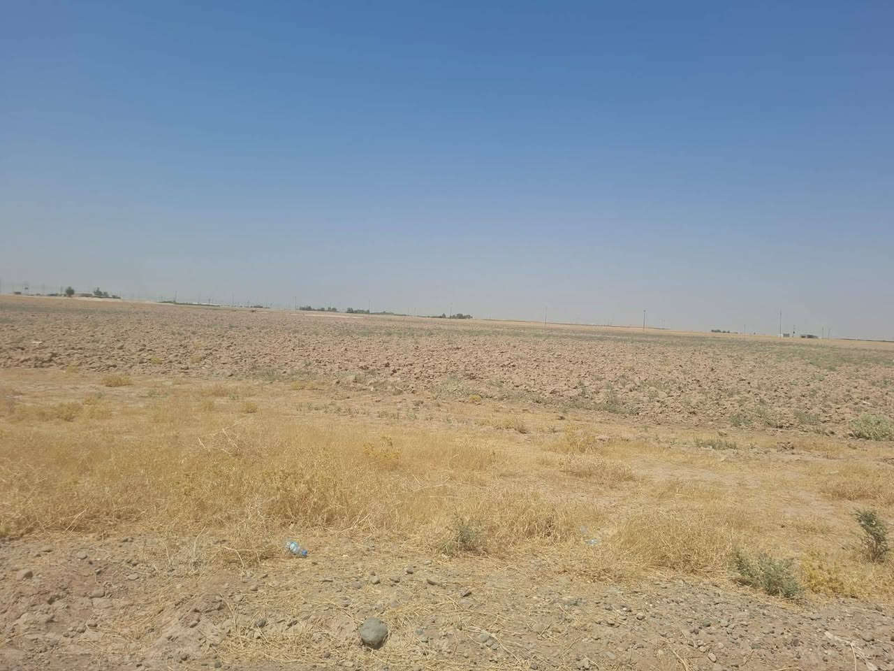 ارض زراعيه للبيع مباشر على الشارع الحولي لقضاء العلم مباشرتا مساحه ٥٠ دونم بشرط اقل بيع يتم خمسة دوام واعلى سعر الدونم ١٢ وبيها مجال قليل للشراي .
***********
ارض زراعيه للبيع مباشر على الشارع الحولي لقضاء العلم مباشرتا مساحه ٥٠ دونم بشرط اقل بيع يتم خمسة دوام واعلى سعر الدونم ١٢ وبيها مجال قليل للشراي .
