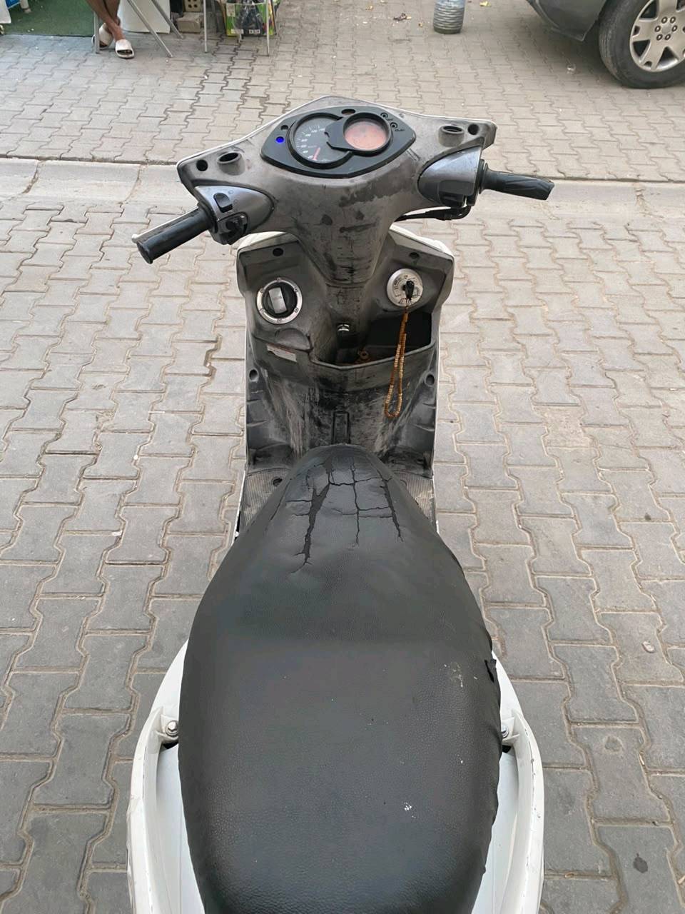 سكنس فحل • نوزل • ياباني