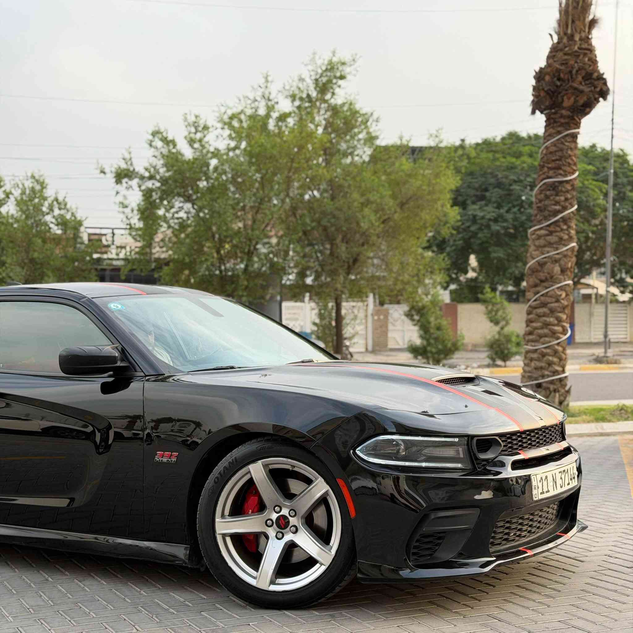 سكات باك • V8 ٦٤٠٠ • رقم بغداد