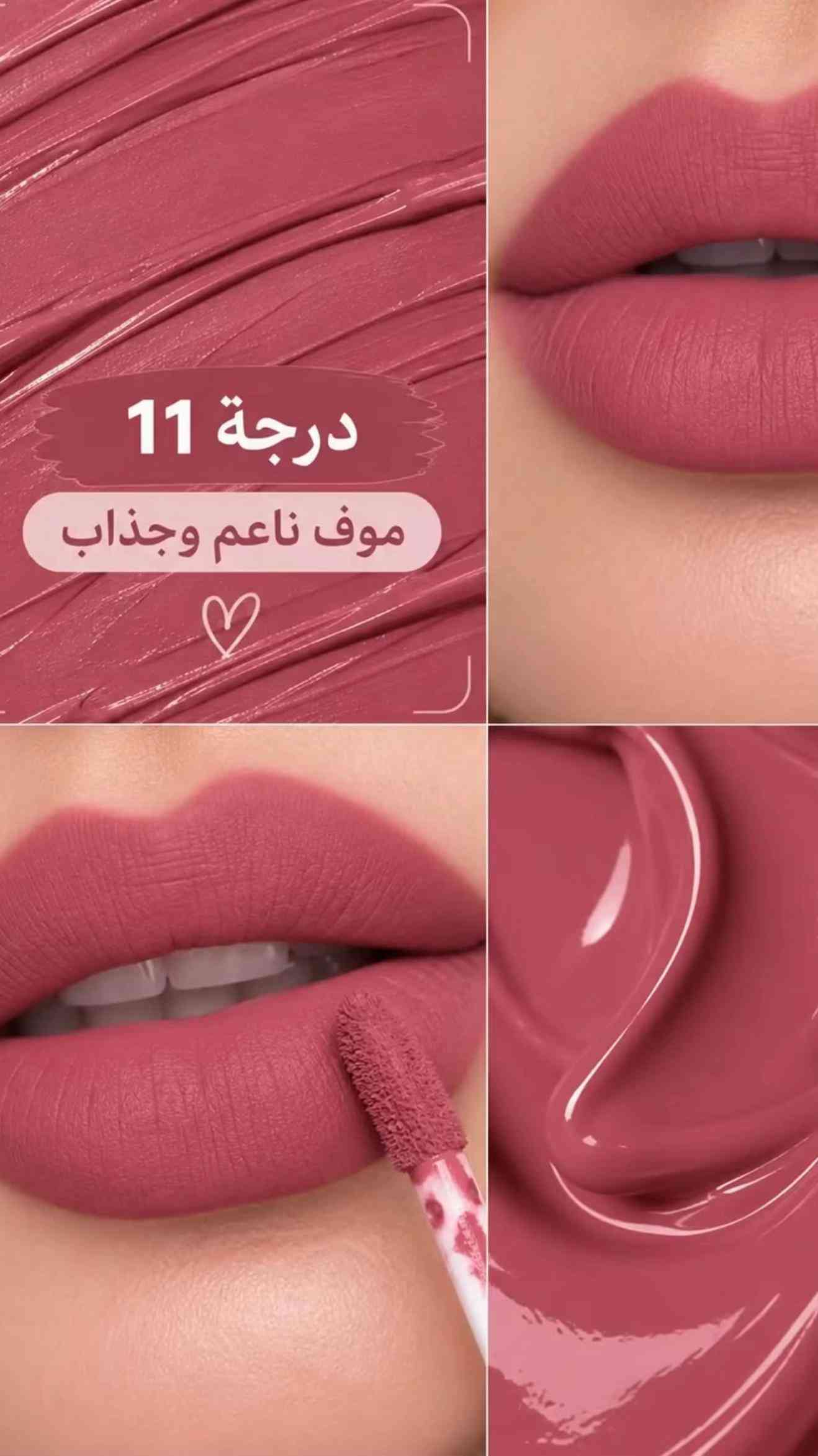 حمرة • Biie أمريكي • درجات متعددة