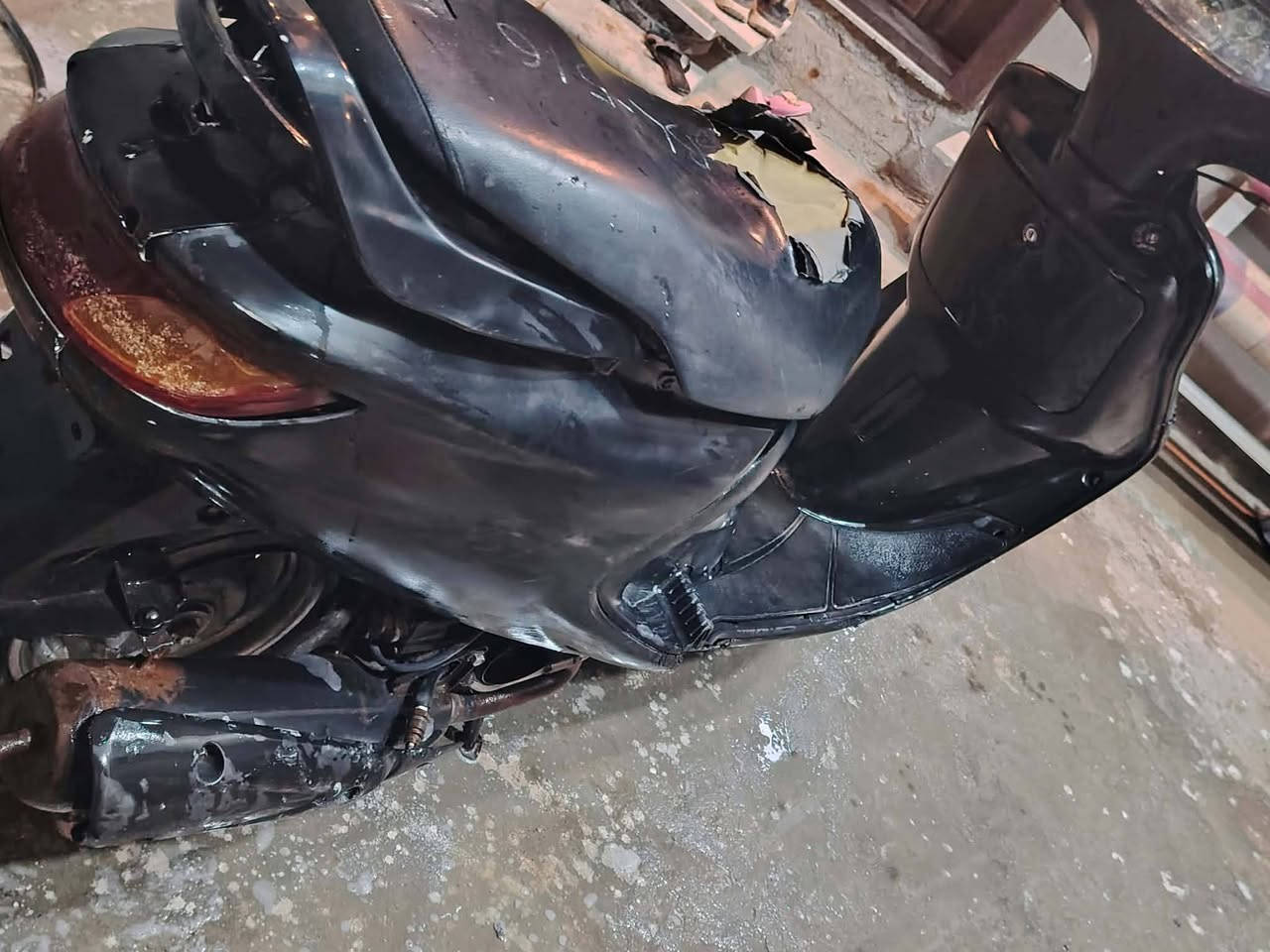 فراشة فحل • ما بيها نقوصات • مكينة نظيفة
