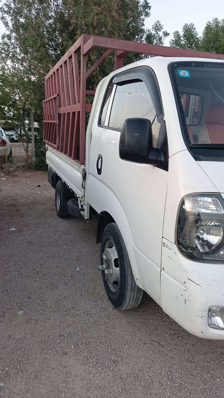 الرقم ***********
