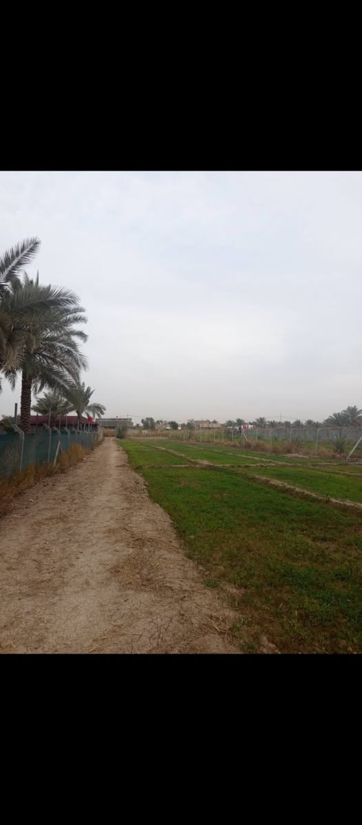 السلام عليكم ارض للبيع 
طابو صرف تحويل مباشر ب اسم المشتري سند ٢٥
المساحه دونم ونص
جميع الخدمات 
الموقع بابل حله شارع ١٠٠
الرابط بزل حجي علي
قريبه ع الشارع العام تبعد ١٠٠متر 
للاستفسار اكثر 
***********
